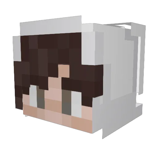 Roachmann Minecraft avatar head, 3D render