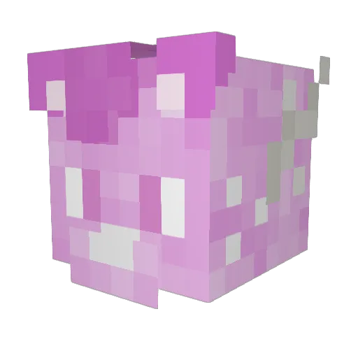 RoadRage64 Minecraft avatar head, 3D render