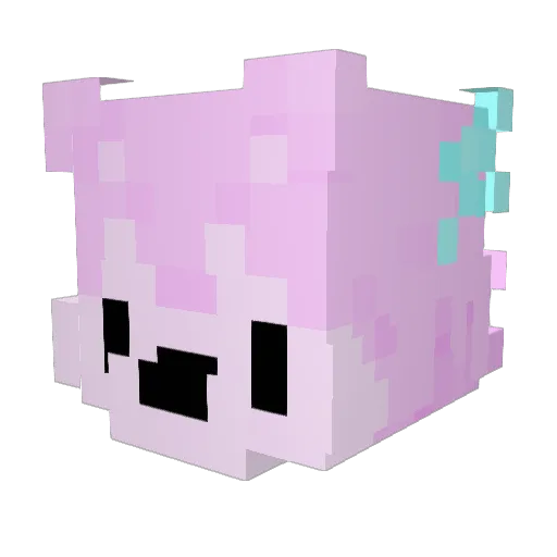 RoadRageThe2nd Minecraft avatar head, 3D render