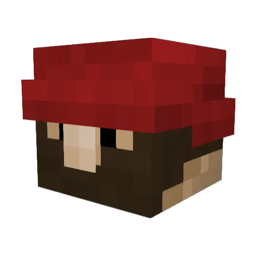 RoadrunnerGDC Minecraft avatar head, 3D render