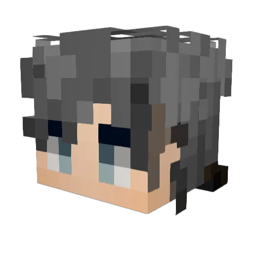 RoadsideDiplomat Minecraft avatar head, 3D render