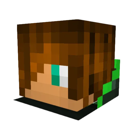 Roadway Minecraft avatar head, 3D render