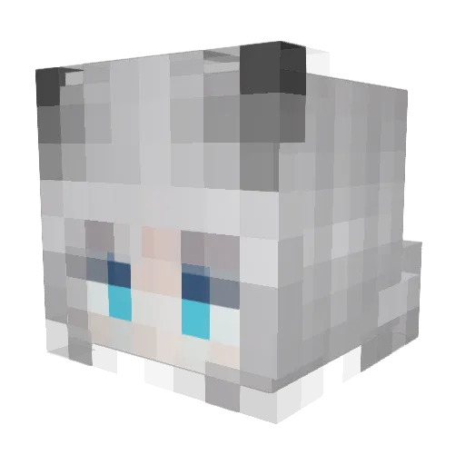 Roafist Minecraft avatar head, 3D render