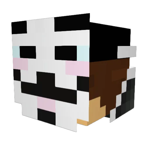 RoakFN Minecraft avatar head, 3D render