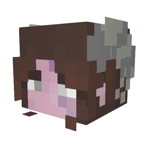 RoamingBones Minecraft avatar head, 3D render