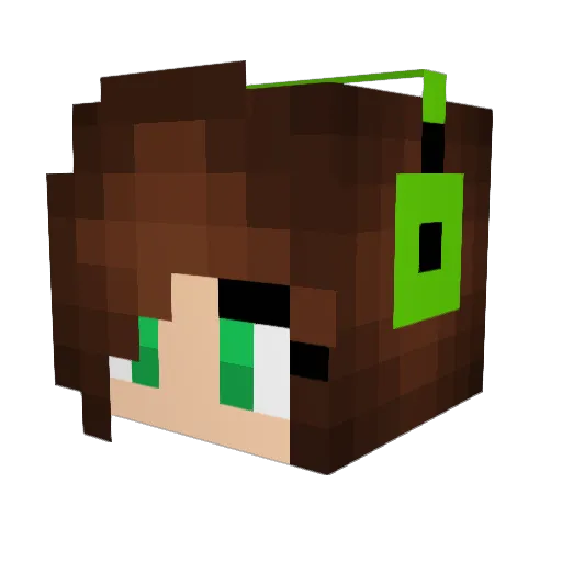 RoamingGnome111 Minecraft avatar head, 3D render