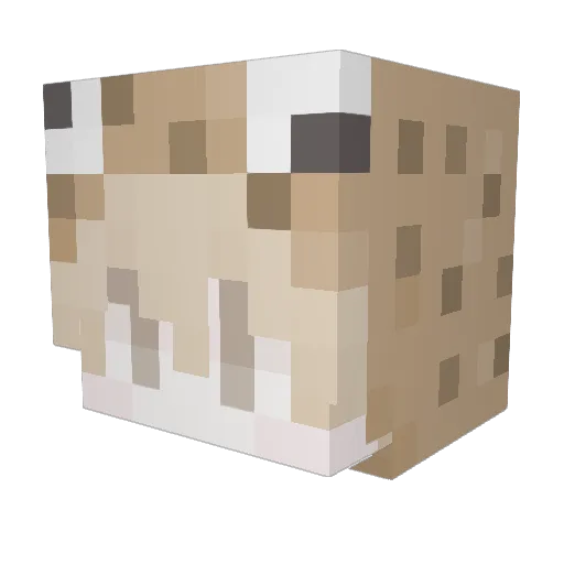 Roams Minecraft avatar head, 3D render