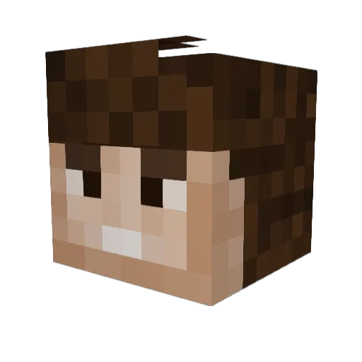 Roann Minecraft avatar head, 3D render