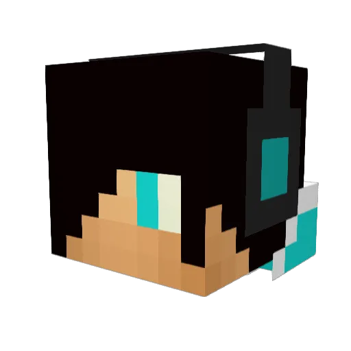Roardo3 Minecraft avatar head, 3D render
