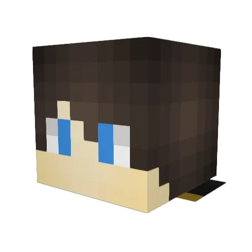 RoaringLion1238 Minecraft avatar head, 3D render