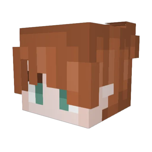 Roasted1738 Minecraft avatar head, 3D render