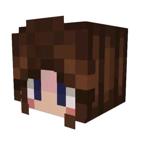 Roasted67 Minecraft avatar head, 3D render