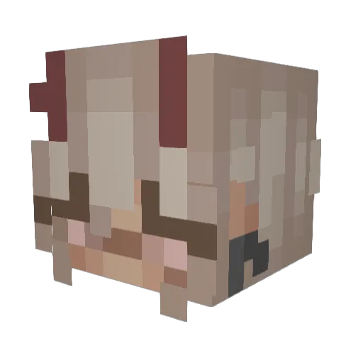 RoastedGramz Minecraft avatar head, 3D render