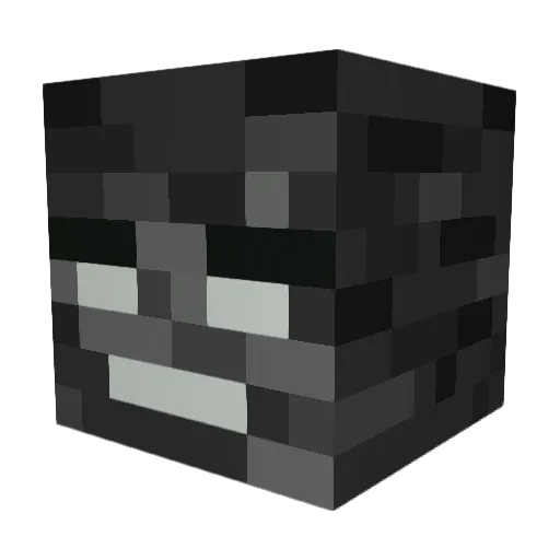 RoastedRaynbow Minecraft avatar head, 3D render