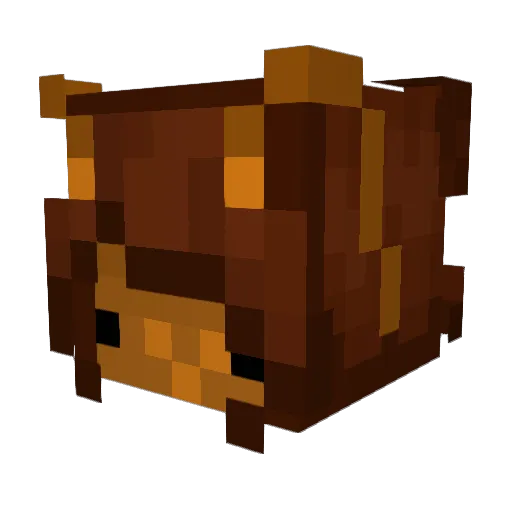 RoastedRoach_ Minecraft avatar head, 3D render