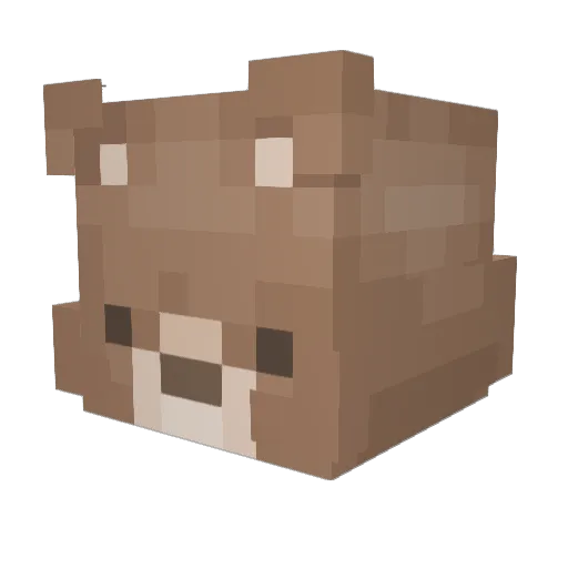 Roasted_Peanut Minecraft avatar head, 3D render