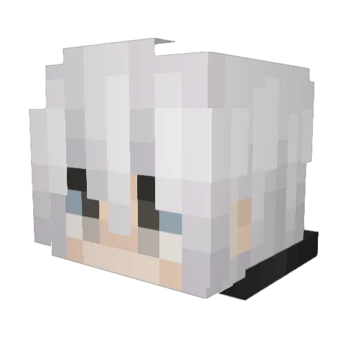 Roastycookie Minecraft avatar head, 3D render