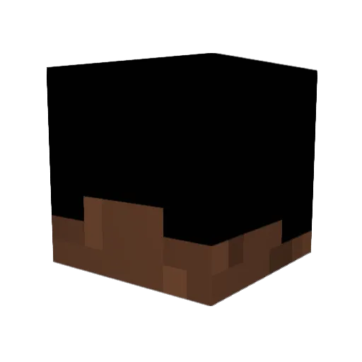 Roastyparty Minecraft avatar head, 3D render
