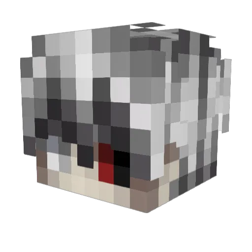 Roazy Minecraft avatar head, 3D render