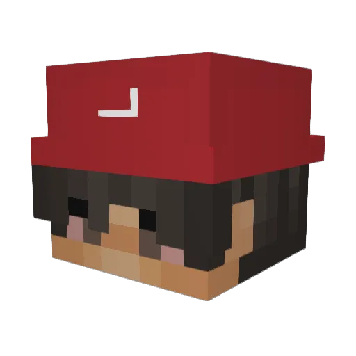 Rob0t228 Minecraft avatar head, 3D render