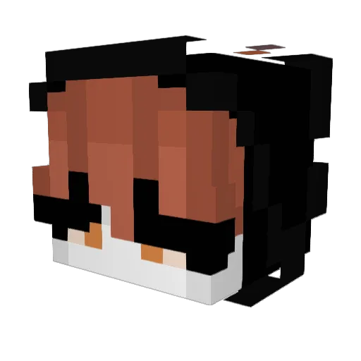Rob1nGHG Minecraft avatar head, 3D render