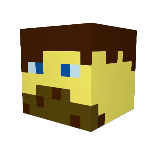 Rob504 Minecraft avatar head, 3D render