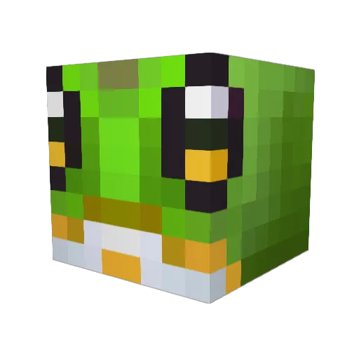 RobAnybody_ Minecraft avatar head, 3D render