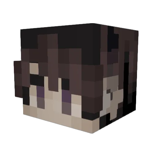 RobBePlayin Minecraft avatar head, 3D render