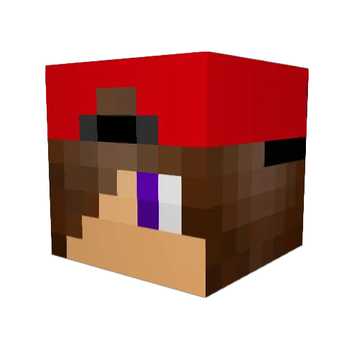 RobDog_2005 Minecraft avatar head, 3D render