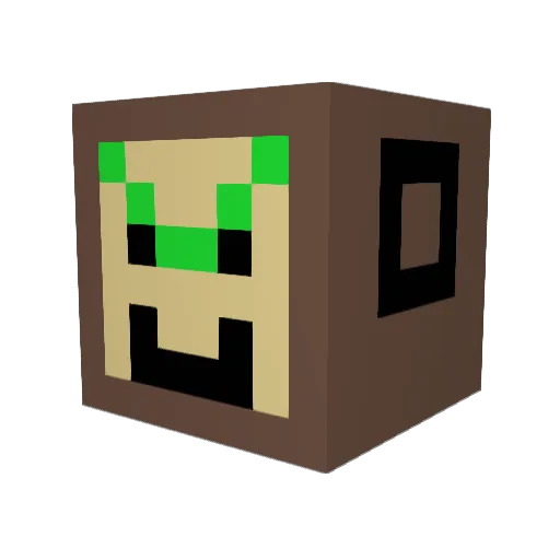 RobStores Minecraft avatar head, 3D render