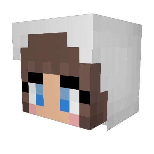 Rob_Bliss Minecraft avatar head, 3D render