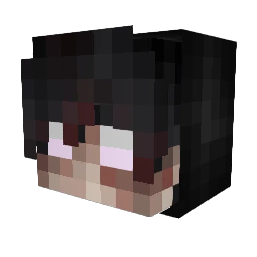 Rob_Gott_in Minecraft avatar head, 3D render
