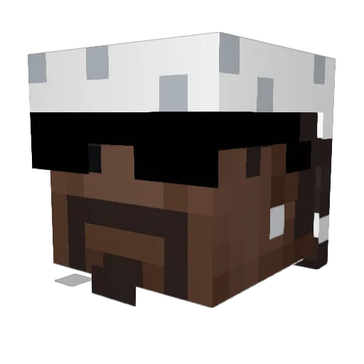 Roba112 Minecraft avatar head, 3D render