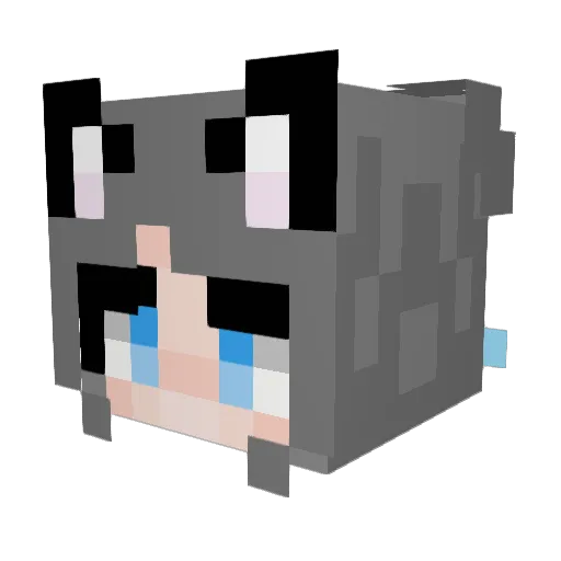 Roban0707 Minecraft avatar head, 3D render