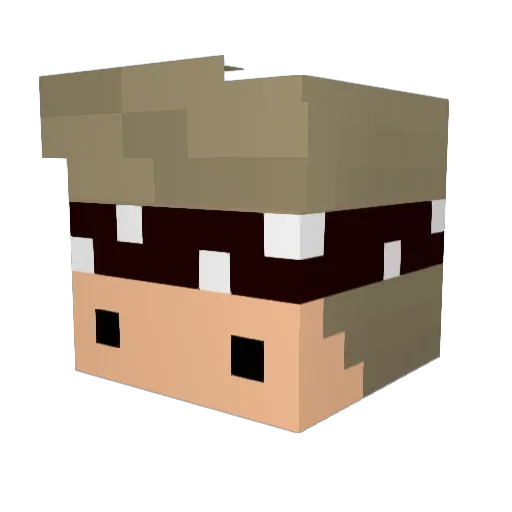 RobatWombat Minecraft avatar head, 3D render