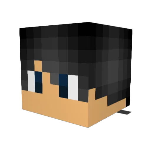 Robb113 Minecraft avatar head, 3D render
