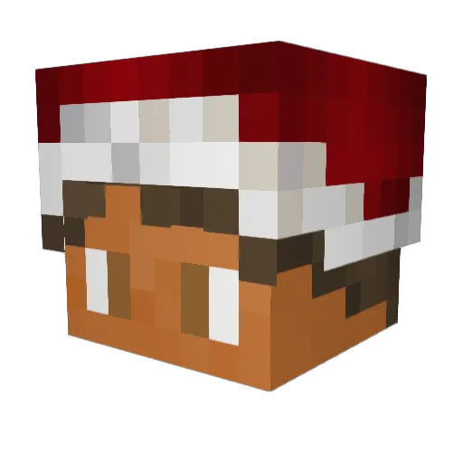 RobbClutch Minecraft avatar head, 3D render