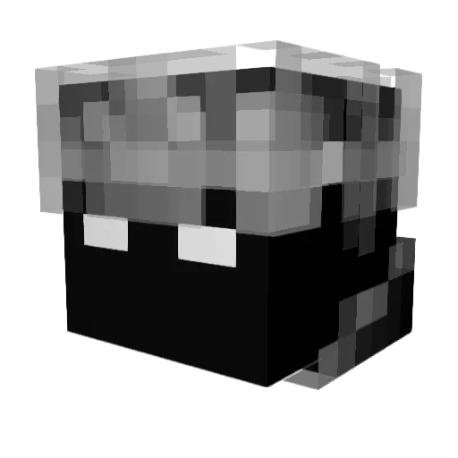 Robbari8 Minecraft avatar head, 3D render