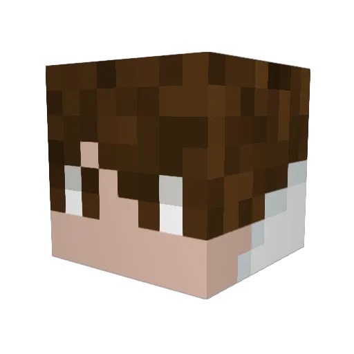 Robbe16 Minecraft avatar head, 3D render