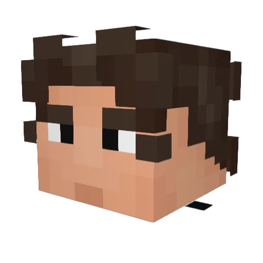 RobbeDSX Minecraft avatar head, 3D render