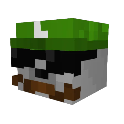 RobbeLeo Minecraft avatar head, 3D render