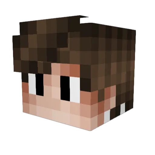 Robbedoes0708 Minecraft avatar head, 3D render