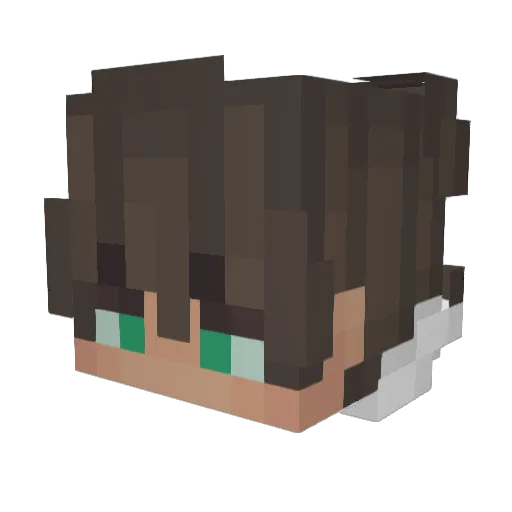 RobbertHood Minecraft avatar head, 3D render