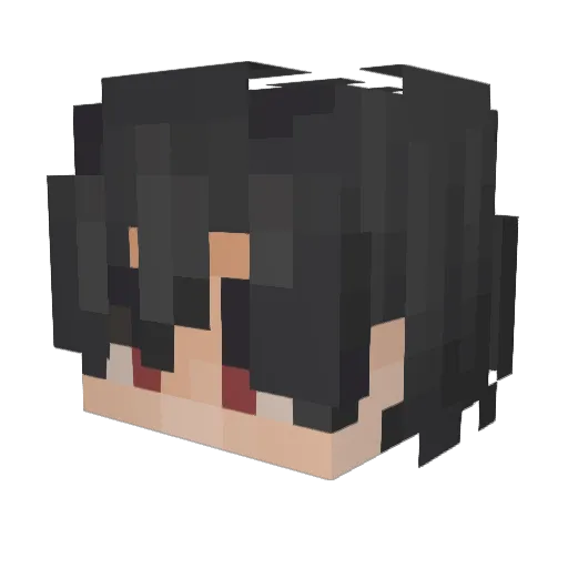 RobbertoHubberto Minecraft avatar head, 3D render