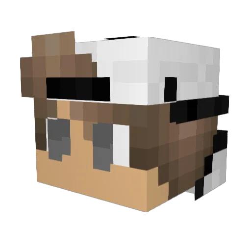 Robbery_chain Minecraft avatar head, 3D render