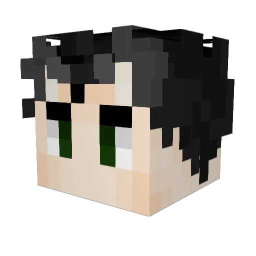 Robbi666 Minecraft avatar head, 3D render