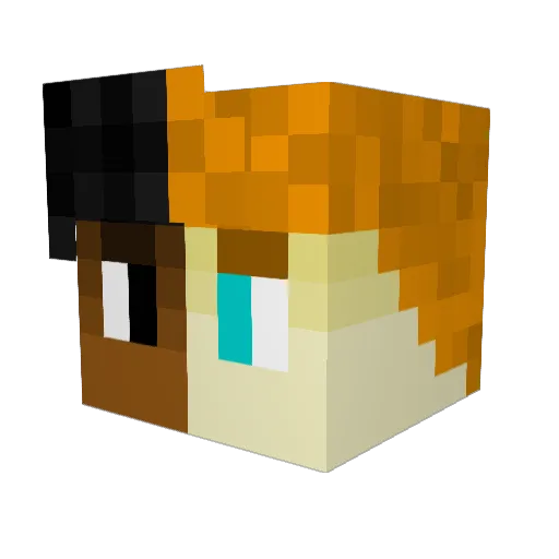 RobbiSwag Minecraft avatar head, 3D render