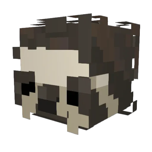 Robbie2111 Minecraft avatar head, 3D render