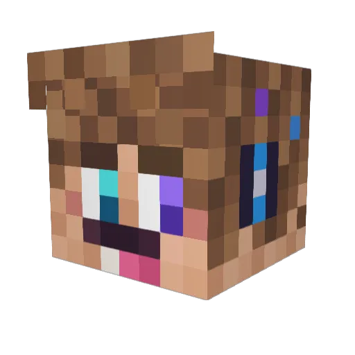 RobbieRichhh Minecraft avatar head, 3D render