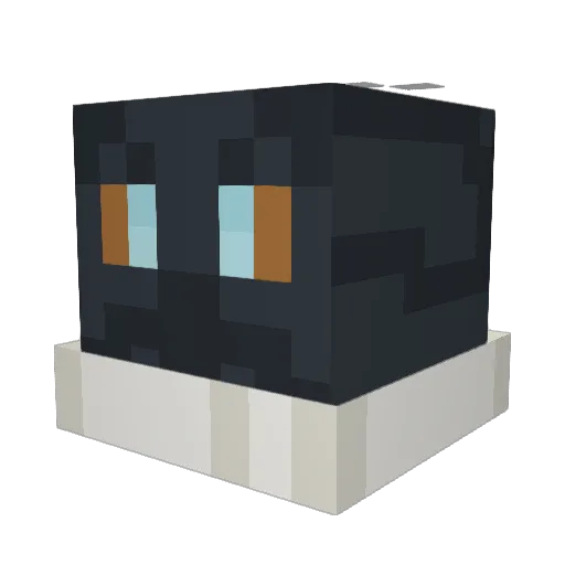 RobbieSan Minecraft avatar head, 3D render